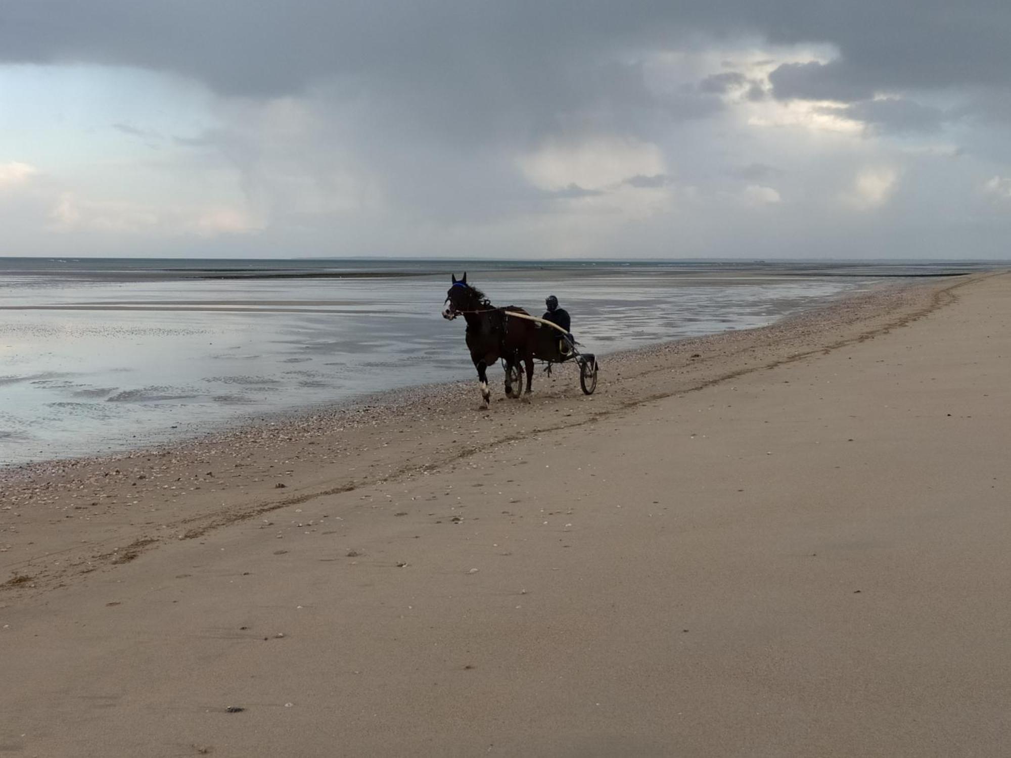 Gites " Arromanches" Ou "Bord De Mer Pmr" 2 Chambres En Front De Mer A Asnelles , 3Km D'Arromanches, 10Km De Bayeux Экстерьер фото